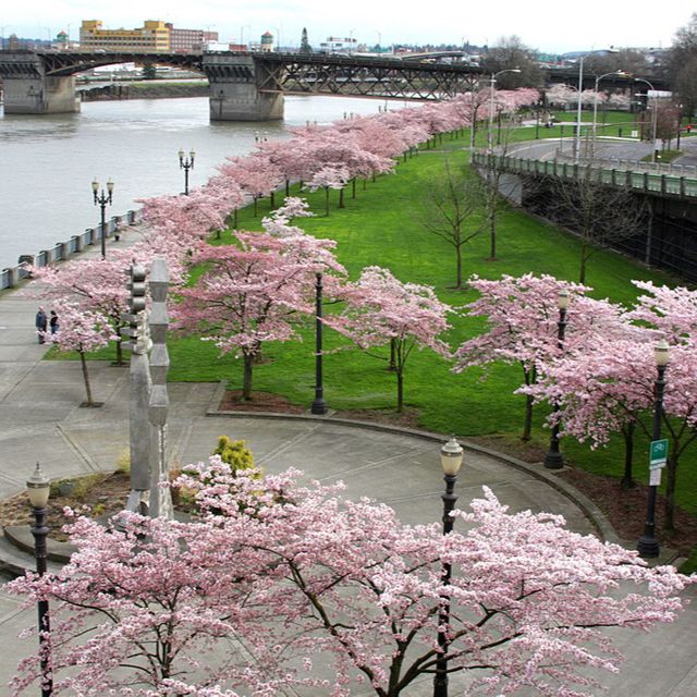Riverfront Walk