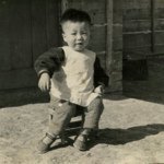 Ai Weiwei (@aiww) • Instagram photos and videos